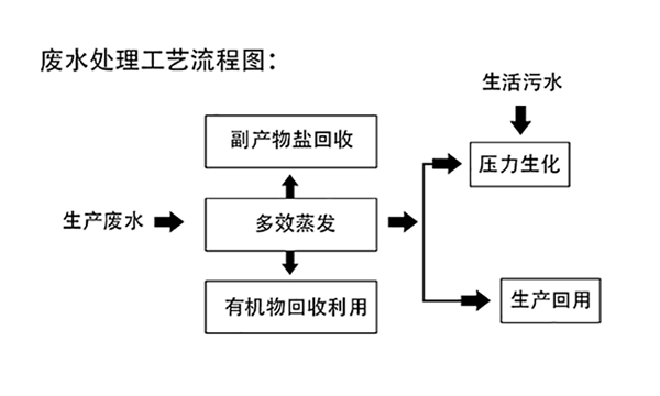 多效蒸發工藝處理橡膠（jiāo）助劑促進劑廢水工藝（yì）流程圖